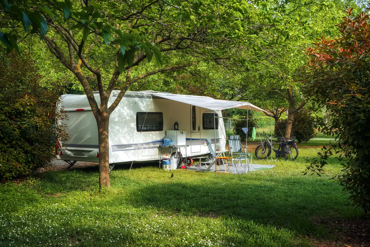 Camper setup in a lush green campsite.