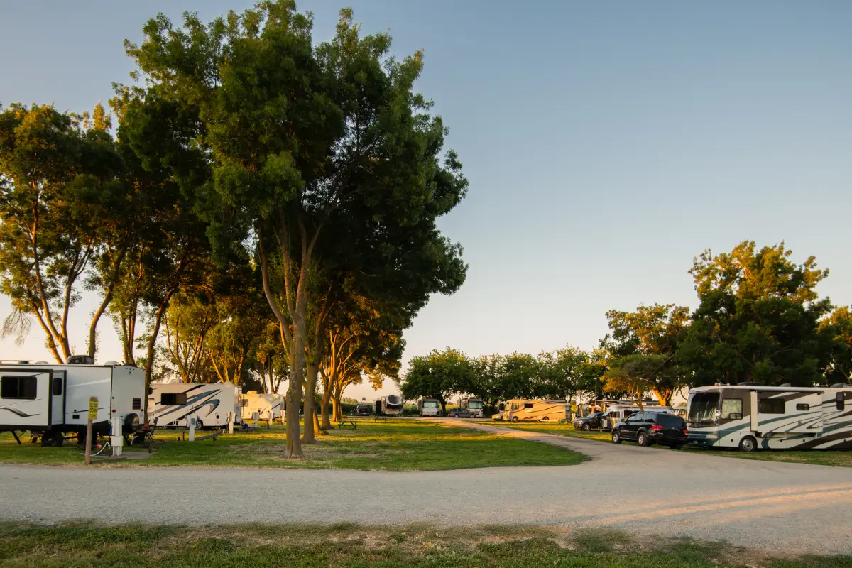 RV park with trees and parked campers.